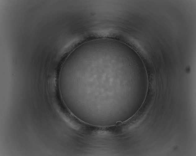 X0000093520590200710191334