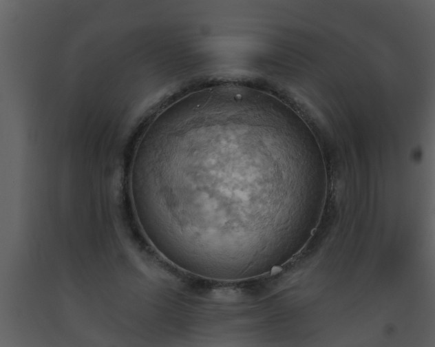 X0000093520591200710191334