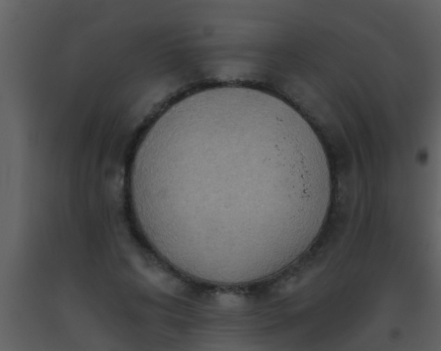 X0000093520592200710191334