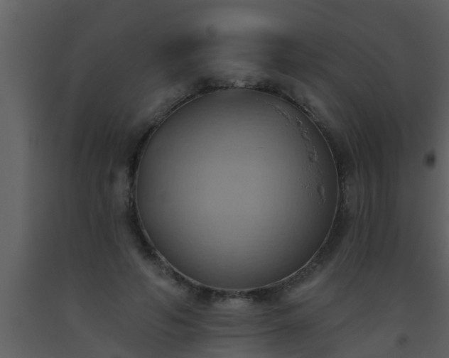 X0000093520594200710191334