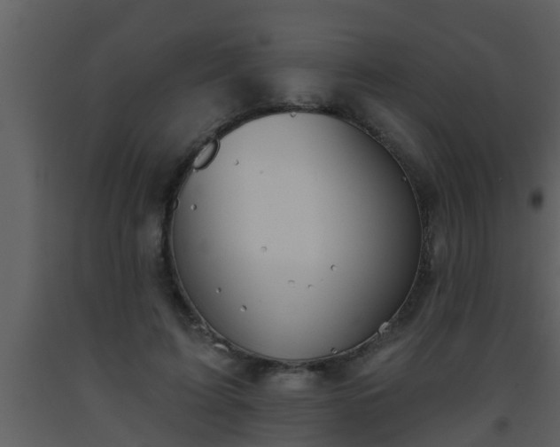 X0000093520595200710191334