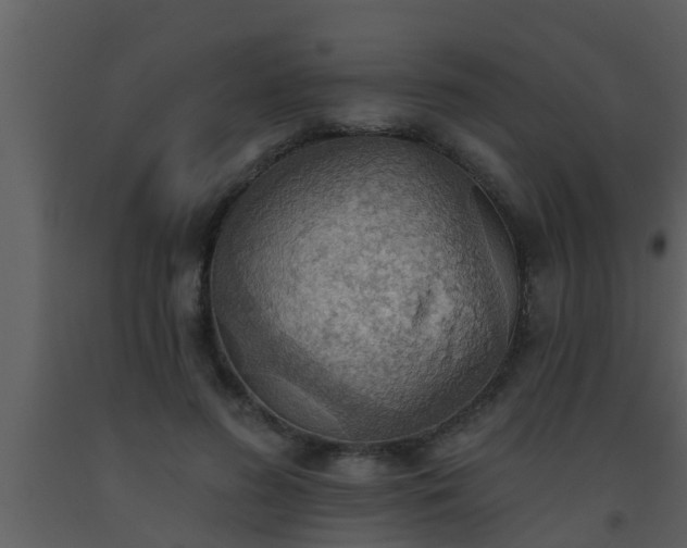 X0000093520596200710191334