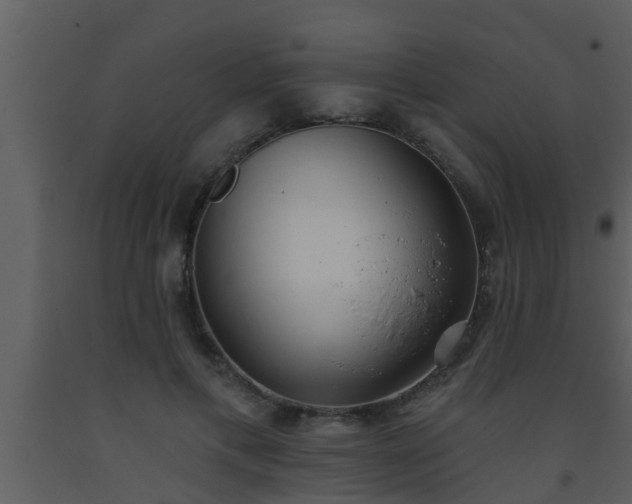 X0000093520597200710191334