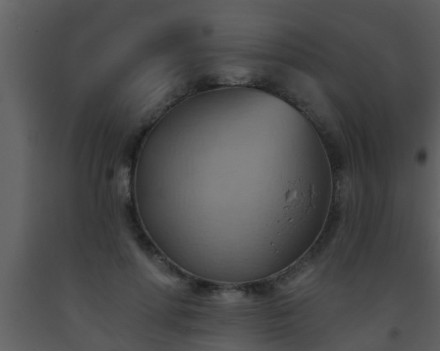 X0000093520598200710191334