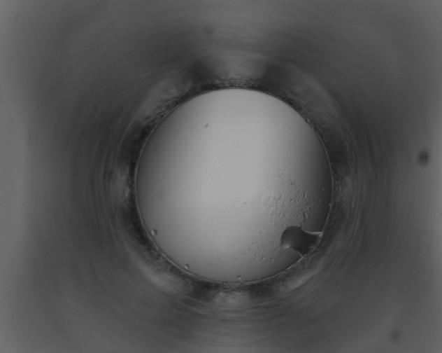 X0000093520599200710191334