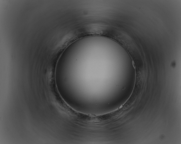 X0000093520600200710191334