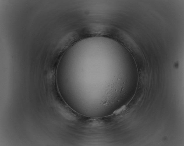 X0000093520601200710191334