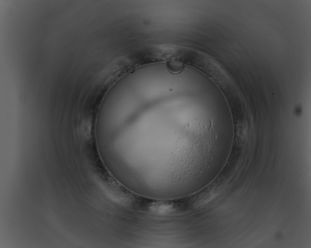 X0000093520602200710191334