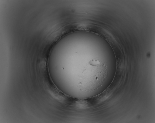 X0000093520603200710191334