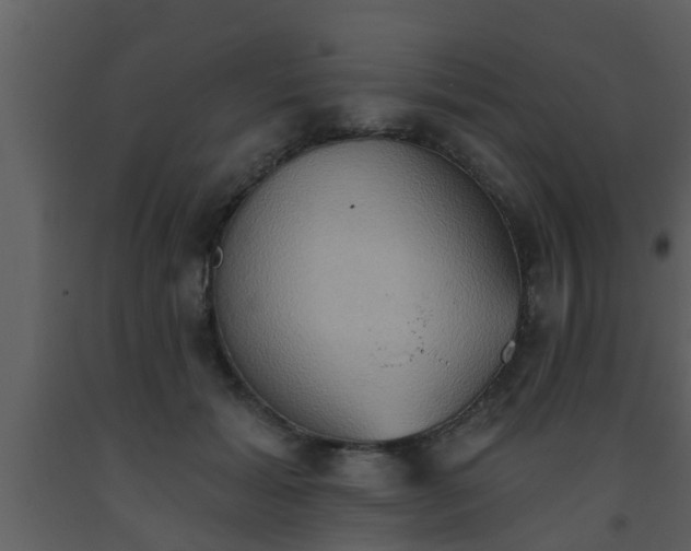 X0000093520605200710191334