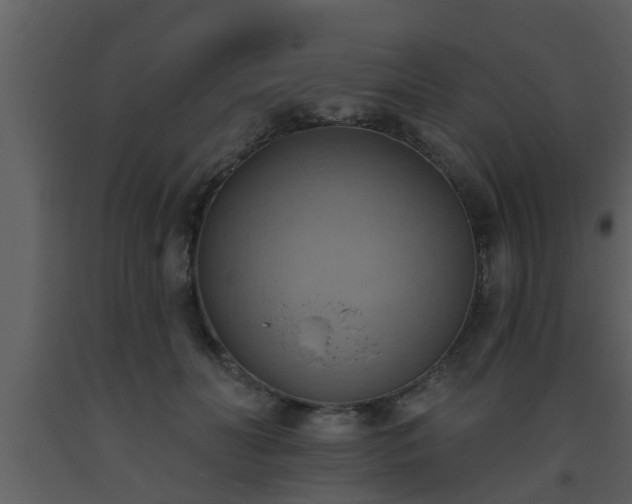 X0000093520606200710191334