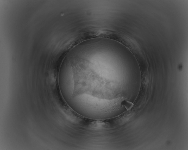 X0000093520607200710191333