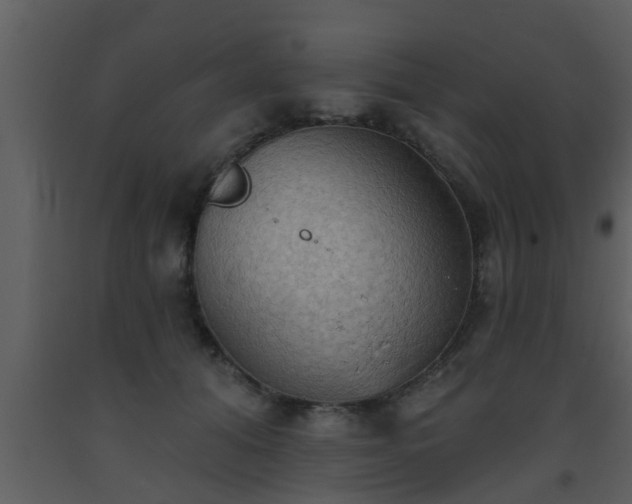 X0000093520608200710191333