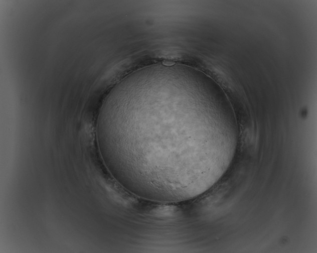 X0000093520609200710191333