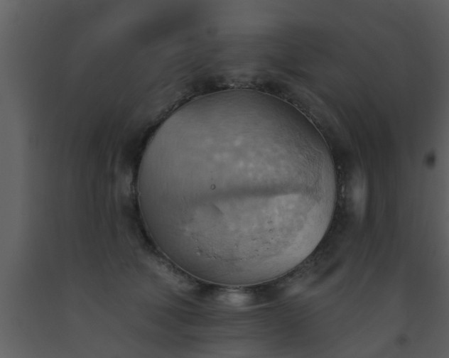 X0000093520610200710191333