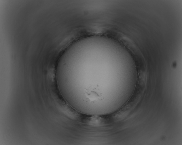 X0000093520612200710191333