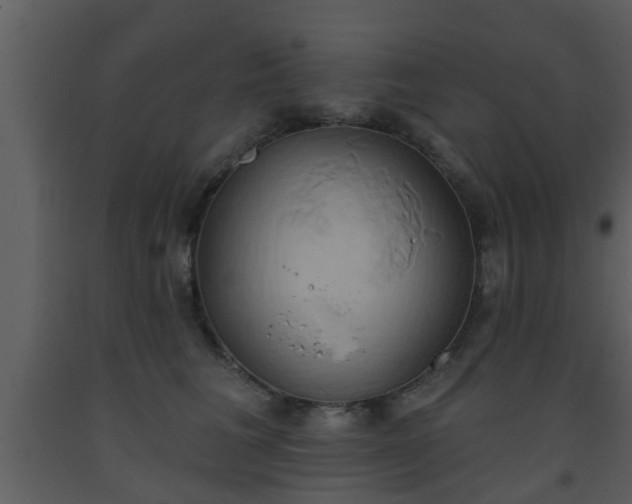 X0000093520613200710191333