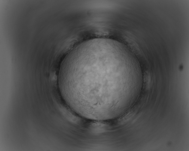 X0000093520614200710191333