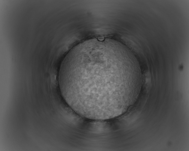 X0000093520615200710191333