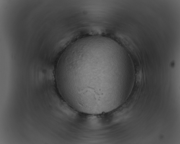 X0000093520616200710191333