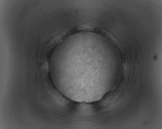 X0000093520617200710191333