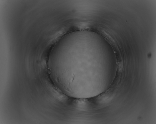 X0000093520618200710191333