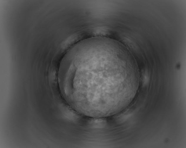 X0000093520619200710191333