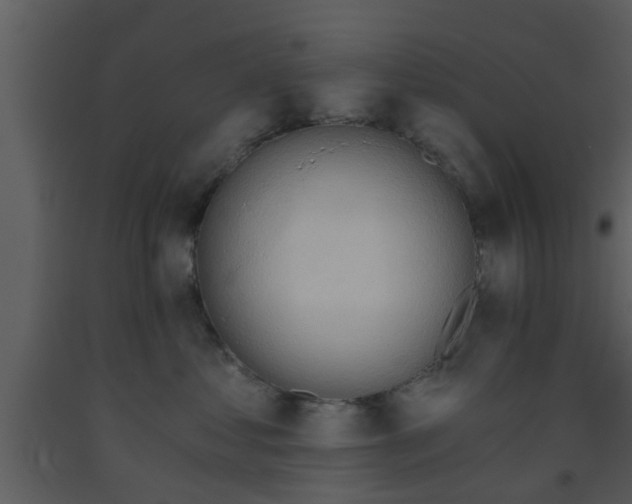 X0000093520621200710191333