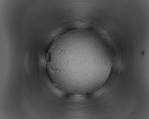 X0000093520622200710191333