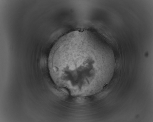 X0000093520623200710191333