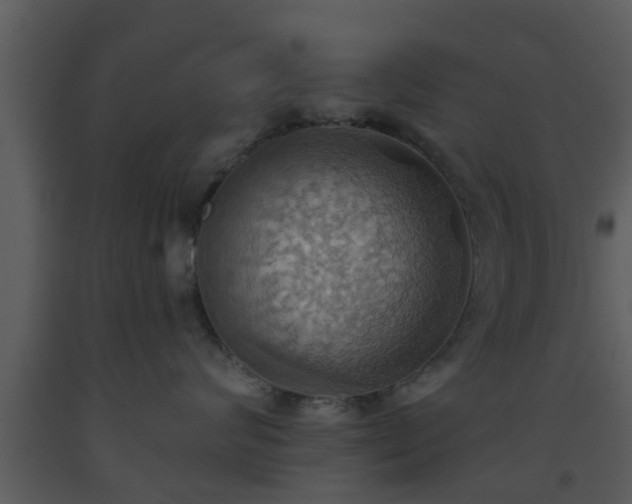 X0000093520624200710191333