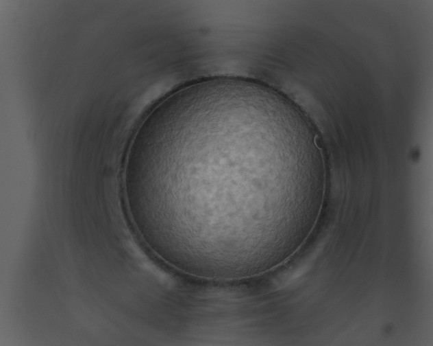 X0000093520625200710191333