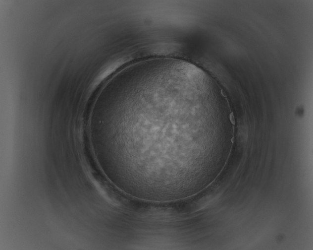 X0000093520626200710191333