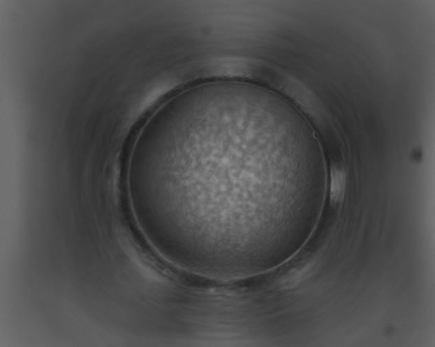 X0000093520627200710191333