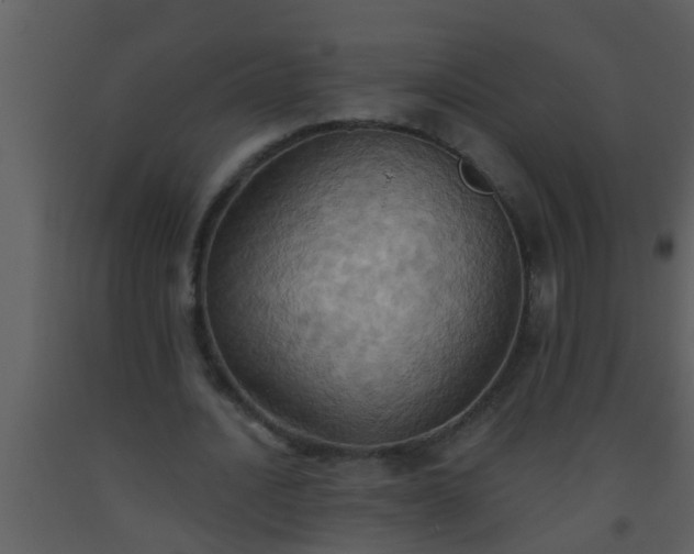 X0000093520628200710191333