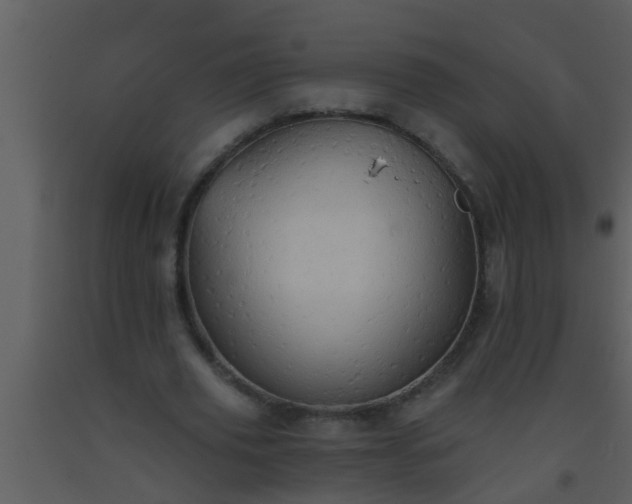 X0000093520629200710191333