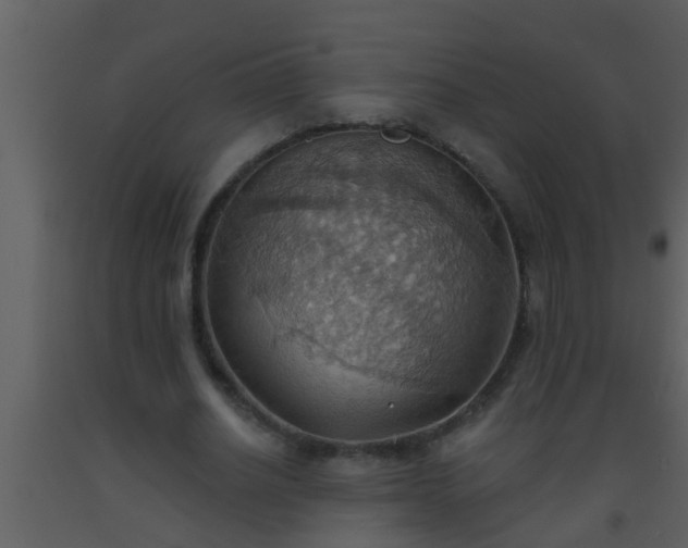 X0000093520630200710191333