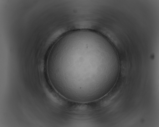 X0000093520631200710191333