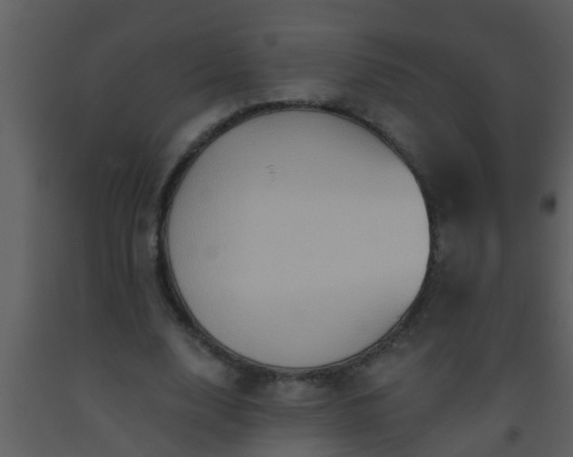 X0000093520632200710191333