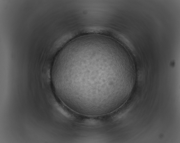 X0000093520633200710191333