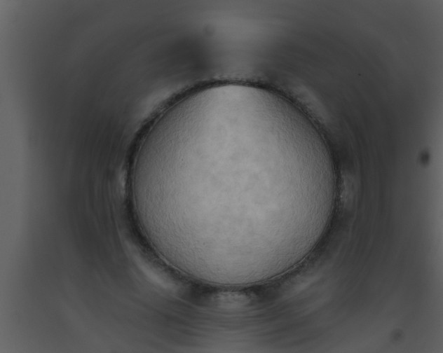 X0000093520636200710191333