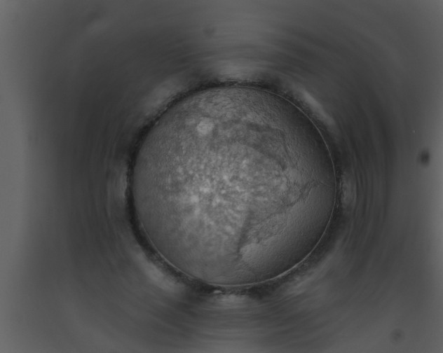 X0000093520637200710191333