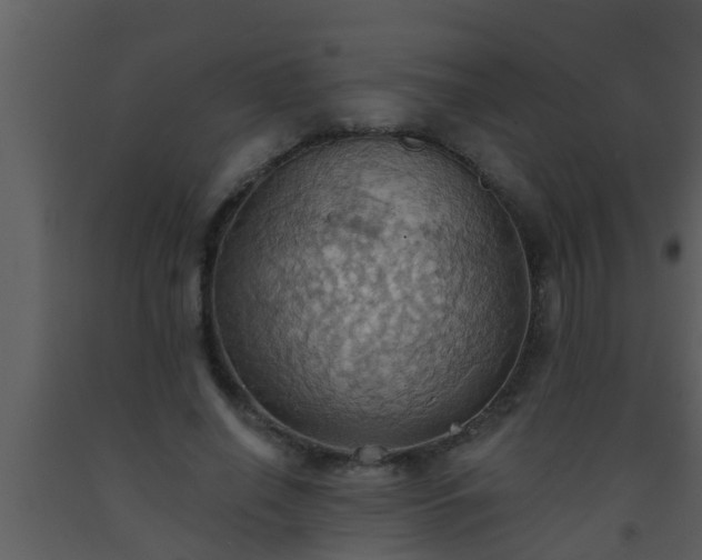 X0000093520638200710191333