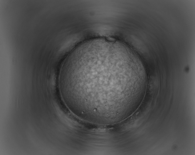 X0000093520639200710191333