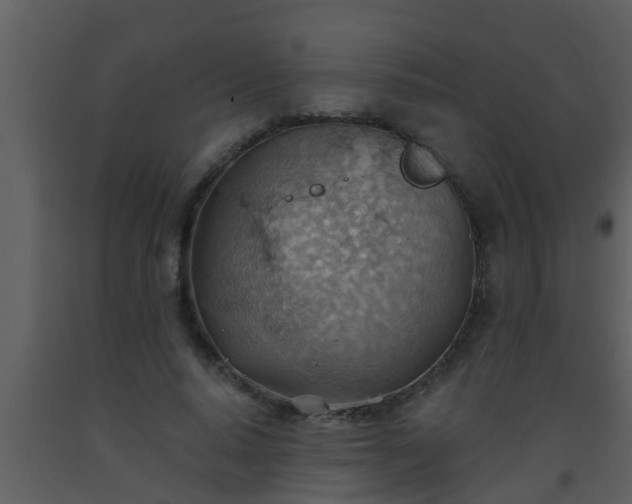 X0000093520640200710191333