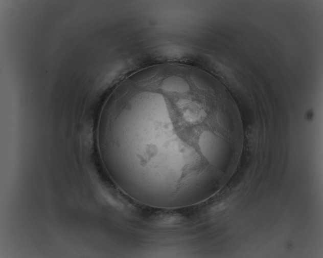 X0000093520642200710191333