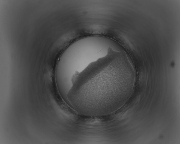 X0000093520643200710191333