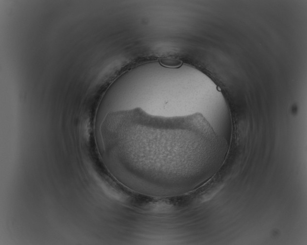 X0000093520644200710191333