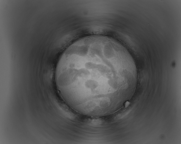 X0000093520645200710191333