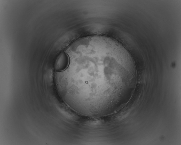 X0000093520646200710191333